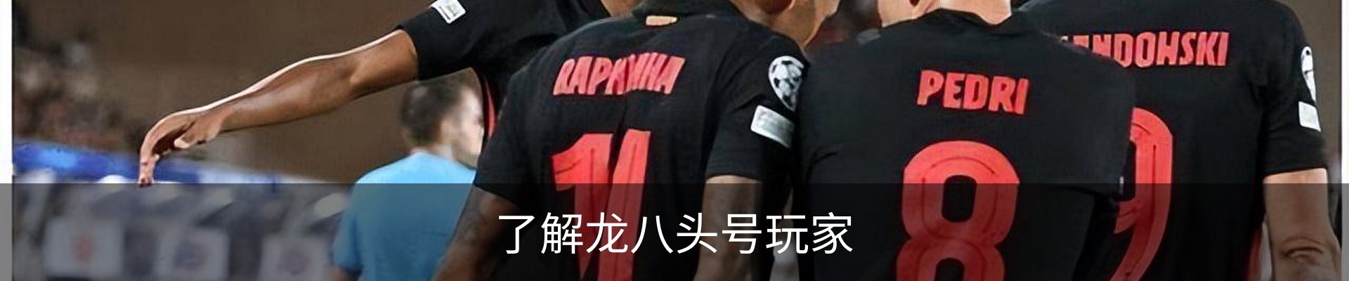 了解龙八头号玩家